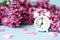 Lilac flowers with vintage tiny alarm clock on blue background. Spring time morning concept