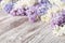 Lilac flowers on wood background, blossom branch on vintage wood