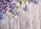 Lilac flowers on wood background, blossom branch on wood