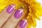 Lilac French manicure with yellow Gerbera