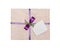 The lilac gift which is elegantly packed into crumpled paper