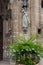 lilac and green colored flowers on ancient church facade