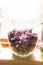 Lilac jelly preparation