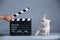 Lilac Kitten as actor and a clapperboard, video production