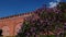 Lilac at Kremlin wall in Moscow, Russia