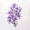 Lilac Line Art Of Wild Flowers: Top-down Perspective On White Background