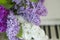 Lilac on piano close-up. White piano. Lilac bouquet several colors over Syringa vulgaris. Lilac flowers