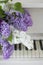 Lilac on piano close-up. White piano. Lilac bouquet several colors over Syringa vulgaris. Lilac flowers