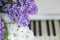 Lilac on piano close-up. White piano. Lilac bouquet several colors over Syringa vulgaris. Lilac flowers