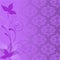Lilac plant composition
