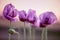 Lilac Poppy Flowers