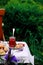 Lilac scones with strawberry curd in the summer garden