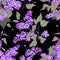 Lilac Seamless Pattern.