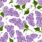 Lilac seamless pattern. Hand drawn vector