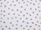 Lilac small flowers pattern on white background