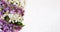 Lilac and spring blossom flowers arrangement