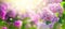 Lilac spring flowers bunch violet art design background. Blooming violet lilac flowers