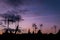 Lilac sunset and many silhouettes of roofs with antennas, Barcelona