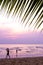 Lilac sunset with palm leaves and blurry silhouettes of people on the background of the sea