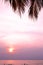 Lilac sunset with palm trees