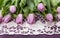 Lilac tulips and pink gerbera on a white and purple background