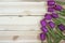 Lilac tulips on planked wooden background from above, holiday de
