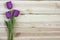 Lilac tulips on planked wooden background from above, holiday de