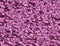 Lilac violet background