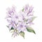 Lilac Watercolor Painting White Star Flowers On Isolated Background