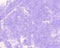 Lilac white grunge background