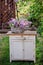 Lilacs bouquet in basket on vintage bureau in spring garden