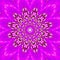 Lilas pink vibrant mandala