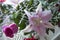 Lilies and and pink roses on bamboo table close up