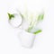 Lilies of the valley in white cups float in milk. The concept of purity, tenderness, freshness