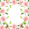 Lilium candidum, the Madonna lily Border Outline on White Background. Vector IllustrationPink Lilium candidum, the Madonna lily Bo