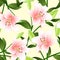 Lilium candidum, the Madonna lily or Pink Lily on Beige Ivory Background.