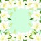 Lilium candidum, the Madonna lily or White Lily Border on Green Mint Background. Vector Illustration