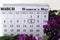 Liliums and Helichrysum flowers and calendar with marked Womens Day.