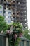 Lillies at Grenfell Tower disaster