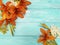 Lily beautiful orange season holiday gorgeous flora a blue wooden background vintage