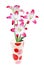 Lily blooming vase