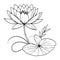 lily pad water lily drawing, simple lily pad drawing, simple easy water lily drawing wall decor