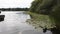 Lily pads floating on a large lake