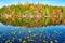 Lily pads and mirror reflections of fall colors at Bays Mountain Lake in Kingsport, Tennessee during autumn