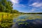 Lily Pads Sit On The Calm Surface of a Scenic River