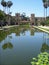Lily pond, Balboa Park