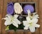 Lily, stones and towels in a wooden box