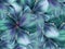 Lily turquoise-blue flowers. bright turquoise background. floral collage. flower composition.