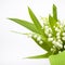 Lily-of-the-valley bouquet