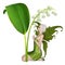 Lily of the Valley Fairy Kneeling under a Flower